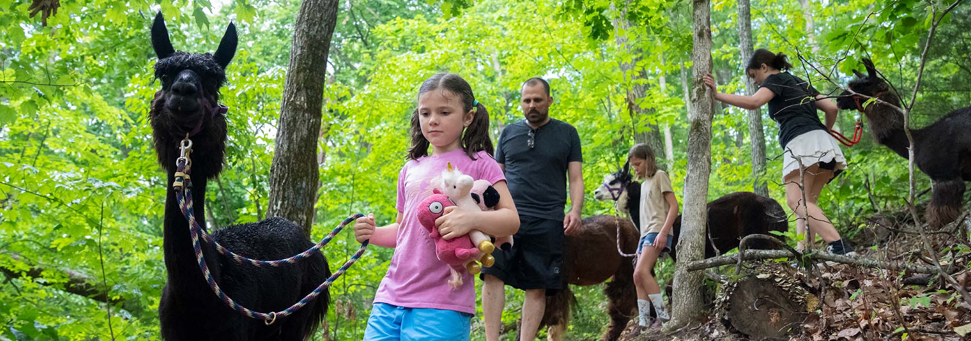 11 Best Hikes in the Smoky Mountains