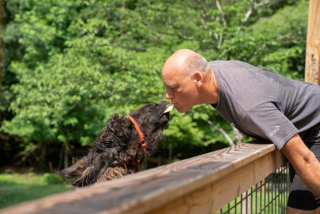 Smoky Mountain Llama Treks